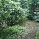 계곡품은펜션 이미지