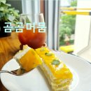곰곰머뭄
