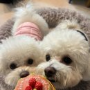 투포캠프 이미지