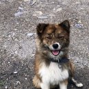 김삿갓면-26 이미지