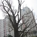 도봉탐방지원센터 이미지