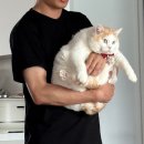 엘림아파트앞 | 25.07 여름이었다