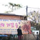 반야선