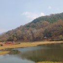 생태와대구 이미지