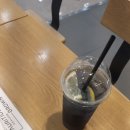 모리셔스브라운가양 네이버블로그