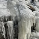 청송사슴농장 이미지