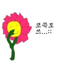 애플꼬마김밥 효자점 이미지