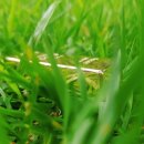 GS25청주수곡점 이미지