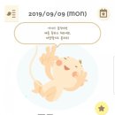 타이니엔젤 이미지