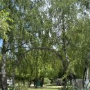 더사우나(The sauna) 이미지