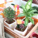 베데스다농장 이미지