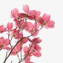 서연플라워 - 시흥시 서해안로 586 | 서연플라워