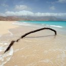 세계의 명소와 풍물 29 - 예멘, 소코트라섬(Socotra Island) 이미지