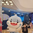 잠실 롯데월드 아쿠아리움 포토패키지 이용후기