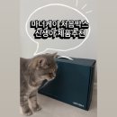 (주)비엠케이정보통신 | 마더케이 처음 박스 언박싱 후기, 임신축하박스, 신생아 제품 추천!