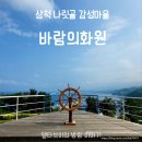 삼척 나릿골 감성마을 바람의화원 일출명소 숨은명소 삼척가볼만한곳