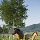 명화농장 이미지