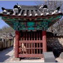 박진 효자비 이미지