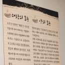 [울산 동구] 울산 동구 떠오르는 곱창 맛집, 서부동 칠칠곱창