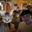 첫날밤 | 푸꾸옥 첫날 밤, 나이트 사파리 투어 솔직후기