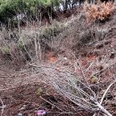 정리마을회관 이미지