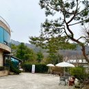애원카페 이미지
