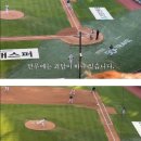 307 | [야구] 260428 삼성 vs 두산 잠실야구장 1루 네이비석 307블럭 네렌지석 직관 후기