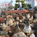 진짜순대 이미지