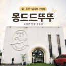 몽드드뚜뚜 | 포천 실내애견카페 몽드드뚜뚜, 소형견 전용 운동장 후기