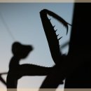 대구미용실 - 달성군 | 대구미용실