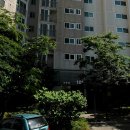 포스코 더샾 이미지