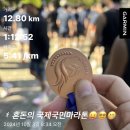 도신대교 | 2024 국제국민 마라톤 10k
