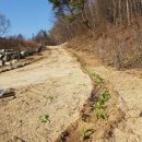 조성농장 이미지