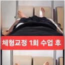 바디빈플러스