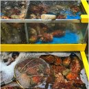 유성상회 이미지