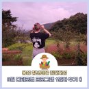 정다운농장 | 로컬! 홍성 청년마을 디퍼로컬 1일차 후기 (feat. 아이스브레이킹, 달마당스테이, 정다운농장 삼겹살파티)