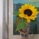 더원 행정사사무소 이미지