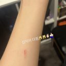 혜화동두찜 | 8282-다비치