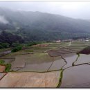 비젼스쿨 이미지