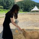용추스케치 | [후기 #5] 여름 휴가 가평 용추 계곡 펜션 추천