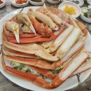 죽도회타운 이미지