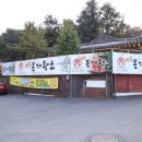 안동본가황소 이미지