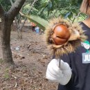 계수농장 이미지