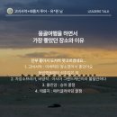 (유)이유여행사 이미지