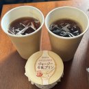 둘세리아 | 볼만한 곳/ 후쿠오카 호텔/ 도큐스테이 후쿠오카 텐진, 스시 사카바, 모츠나베, 칼디, 세리아 / 후기, 리뷰
