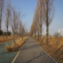 시화호 자전거연결도로(데크) | 라이딩...