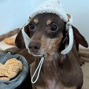 위드뚜뚜 이미지