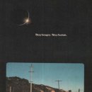 Steve Jobs  2005 Stanford Commencement Address 이미지