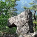 영월농협주유소 이미지