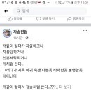 정신유치원 이미지